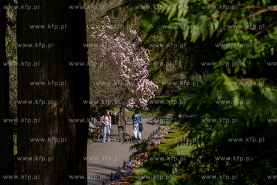 Wiosna w Parku Oliwskim. 15.04.2025 / fot. Anna Rezulak...