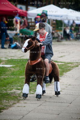 Wyscigi konne na sopockim hipodromie.
13.07.2013
fot....