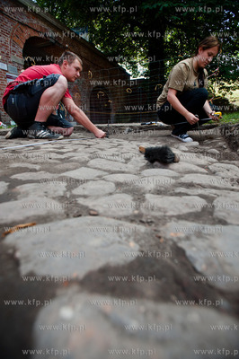 Gdansk. Twierdza Wisloujscie. Badania archeologiczno-architektoniczne...