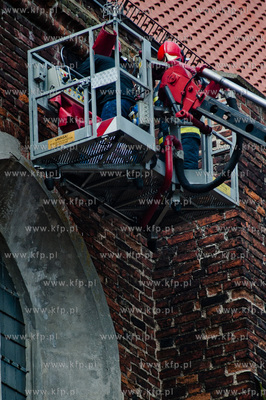 Gdansk. Akcja ratunkowa kaczki krzyzowki oraz jej nowo...