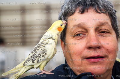 Zespol Szkol Rolniczych w Rusocinie. Wystawa Golebi...