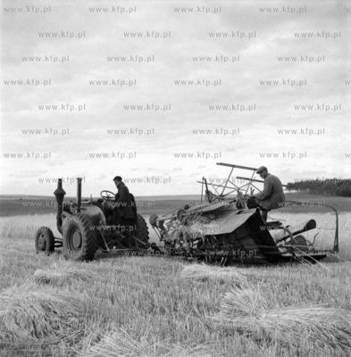Zniwa w Powiecie Gdanskim. 1955
z0005821
Fot. Zbigniew...