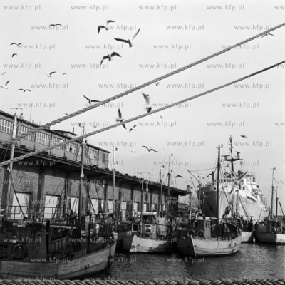 Port rybacki w Gdyni.
9.11.1972
2listopad72_z.kosycarz_p13
Fot....