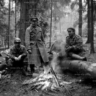 Wycinka lasu przez służby leśne. 11.19725listopad1972_z.kosycarz_p43Fot....