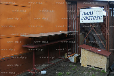 Koci problem w Stoczni Gdynia. Po zamknieciu produkcji...