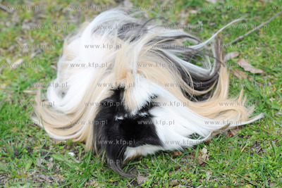 Wiosna w pelni. Na spacer do Parku Rady Europy wyszla...