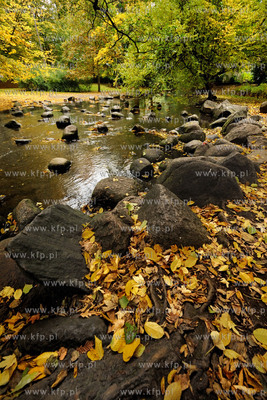 Gdansk Oliwa Park. Fragment parku z basenem parkowym.Poczatkiem...