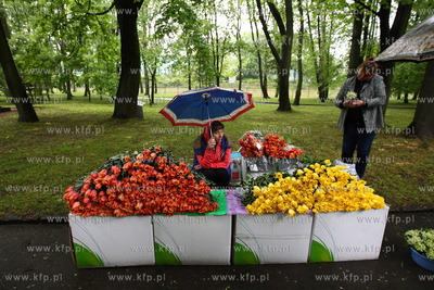 Kaliningrad , Rosja 09.05.2014 Parada na Placu Zwyciestwa...