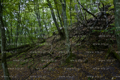 Babi Dol. Jar Raduni. 21.09.2014 fot. Pawel Marcinko...