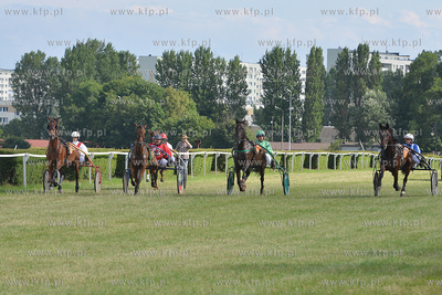Wyscigi konne na sopockim Hipodromie. 17.07.2016 fot....