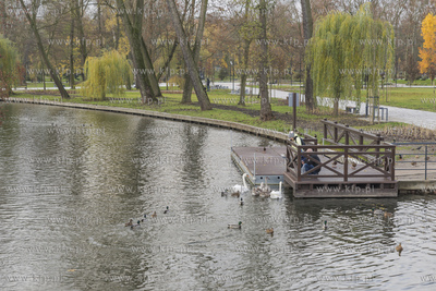 Starogard Gdański,Park Miejski, rzeka Wierzyca10.11.2019Fot....