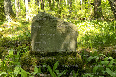 Cmentarz dawnej gminy żydowskiej w Skarszewach, założony...