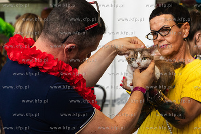Międzynarodowa wystawa kotów rasowych "Koty na Hawajach"...