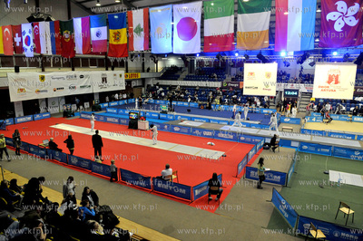 Gdansk. Hala AWF. Zawody Dwor Artusa Grand Prix Pucharu...