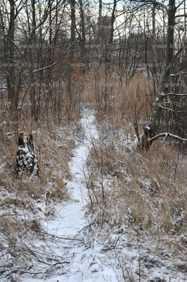 Gdansk Nowy Port. Tereny Szanca Zachodniego pomiedzy...