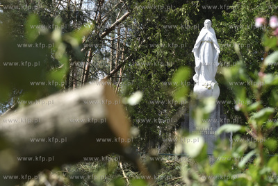 Skutki wichury na Pomorzu. Orlik na Kaszubach w gminie...