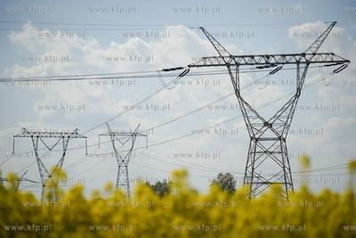 Linie wysokiego napięcia. 10.05.2020 fot. Paweł Marcinko...
