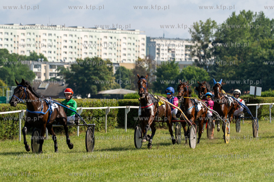 Wyścigi konne na Hipodrom Sopot. 12.07.2026 fot. Paweł...