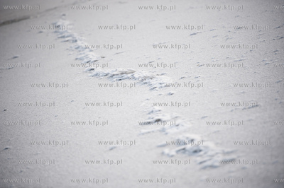 Gdansk. Niskie temperatury skuly lodem wody Motlawy....