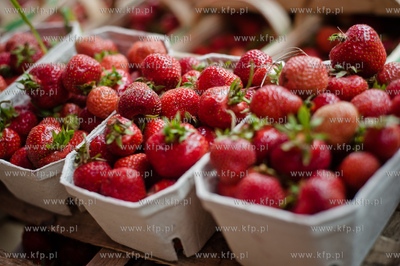 Gdansk. Plac przed siedziba Polskiego Zwiazku Wedkarskiego...