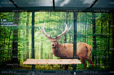 Gdansk. Wiata przystanku autobusowego Dworzec Glowny...