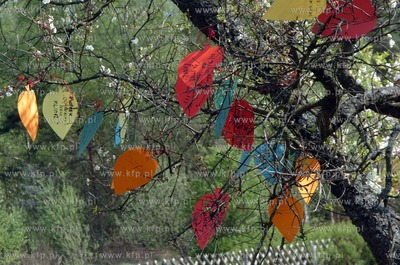 Mlodziez z roznych regionow Polski w miejscowosci Zagorzyczki...