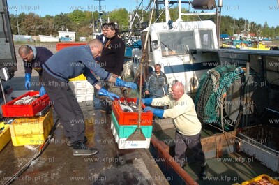 Ustka port, rozladunek zlowinych ryb z kutra Ust-122.
12.05.2009...
