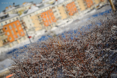 Gdansk Ujescisko. Zimowy, pelen sniegu krajobraz.
14.01.2010
fot....