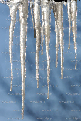 Centrum Edukacji Promocji Regionu w Szymbarku. Nz....