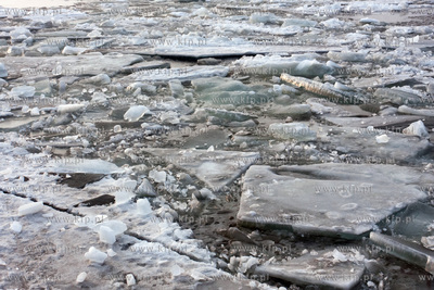 Kra na sluzie w Przegalinie 26.02.2010 fot. Maciej...