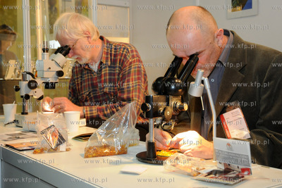 Amberif 2010. 17. Miedzynarodowe Targi Bursztynu, Bizuterii...