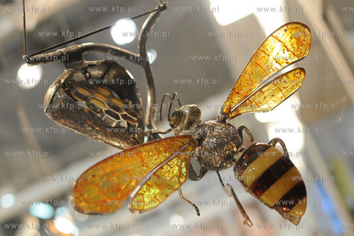 Amberif 2010. 17. Miedzynarodowe Targi Bursztynu, Bizuterii...