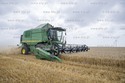 Żniwa we wsi Lignowy w powiecie Tczewskim na Kociewiu.
30.07.2019...