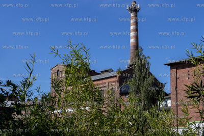 Nieczynna cukrownia w Pruszczu Gdańskim. 
19.07.2022
fot....