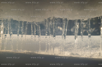 Dobrzewino, wieś na Kaszubach w powiecie wejherowskim....