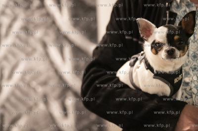 Sopot, Państwowa Galeria Sztuki. Otwarcie 9. Festiwalu...