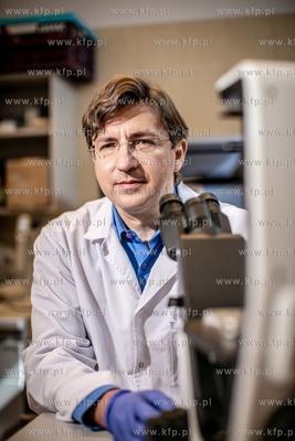 prof. Piotr Trzonkowski ( PolTREG ).
08.09.2021
fot....