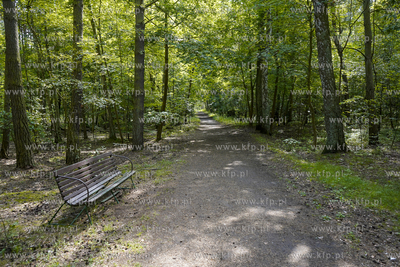 Na trasie wzdłuż szlaku fortyfikacji nadmorskich...