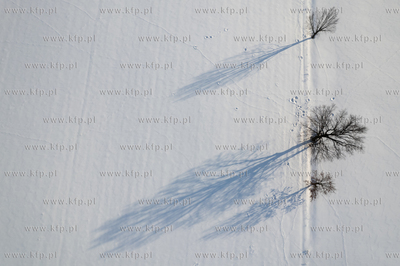 Zima na Żuławach. Pola w okolicach Palczewa. 18.01.2026...