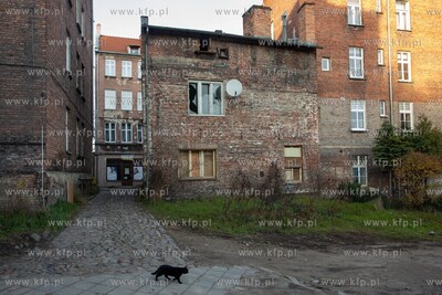Gdańsk, Biskupia Górka. 3.12.2019 / fot. Anna Rezulak...