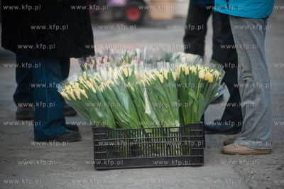 Gdansk. Giełda kwiatowa Dick Inter.
08.03.2013
fot....