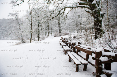 Sniezny zimowy dzien nad jeziorem Otominskim.
21.01.2016
fot....