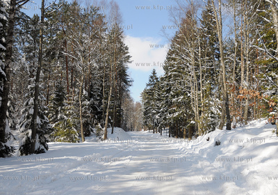 Szymbark /Kartuz. Zima na Kaszubach.
26.03.2009
Fot....