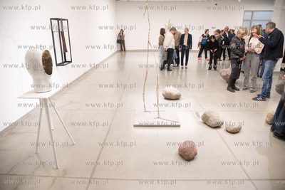 Wernisaż wystawy Stanisław Horno-Popławski & Olaf...