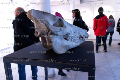 Wernisaż wystawy Jacka Kornackiego "Ślady i znaki...