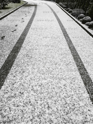 Gdynia, Kacze Buki. Pierwsze opady śniegu.02.12.2019...