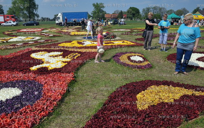 Zulawski Tulipan -  piata edycja imprezy zorganizowanej...