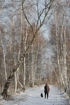 Gdansk Nowy Port. Tereny Szanca Zachodniego pomiedzy...