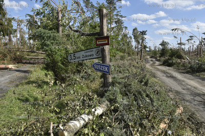 Skutki wichury na Pomorzu. Zniszczony przez wiatr las...