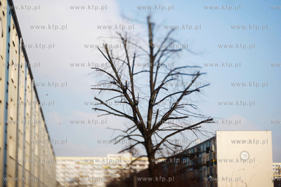 Gdansk. Dzielnica Przymorze.22.02.2011fot. Krzysztof...